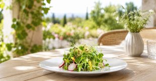 Graines germées : comment les utiliser dans vos repas d'été ?
