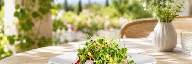 Assiette de graines germées et radis servie sur une terrasse lumineuse en été