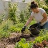 Le no-dig : et si la meilleure façon d'aider son sol était de ne plus le retourner ? Le no-dig : et si la meilleure façon d'aider son sol était de ne plus le retourner ?