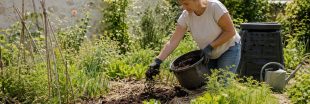 Le no-dig : et si la meilleure façon d'aider son sol était de ne plus le retourner ? Le no-dig : et si la meilleure façon d'aider son sol était de ne plus le retourner ?