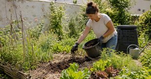 Le no-dig : et si la meilleure façon d'aider son sol était de ne plus le retourner ?