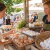 Œufs sans code à la ferme ou au marché : que dit la loi ?