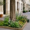 Permis de végétaliser : le mode d'emploi pour transformer sa rue en jardin (légalement)