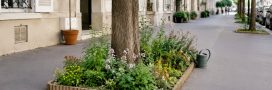 Permis de végétaliser : le mode d'emploi pour transformer sa rue en jardin (légalement) Permis de végétaliser : le mode d'emploi pour transformer sa rue en jardin (légalement)