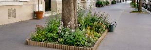 Permis de végétaliser : le mode d'emploi pour transformer sa rue en jardin (légalement) Permis de végétaliser : le mode d'emploi pour transformer sa rue en jardin (légalement)