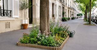 Permis de végétaliser : le mode d'emploi pour transformer sa rue en jardin (légalement)