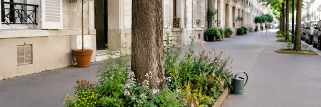Pied d’arbre fleuri grâce à un permis de végétaliser dans une rue résidentielle