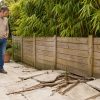Racines, bambous, haies : qui est responsable quand les plantes du voisin causent des dégâts ? Racines, bambous, haies : qui est responsable quand les plantes du voisin causent des dégâts ?