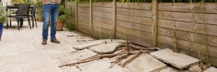 Racines, bambous, haies : qui est responsable quand les plantes du voisin causent des dégâts ? Racines, bambous, haies : qui est responsable quand les plantes du voisin causent des dégâts ?