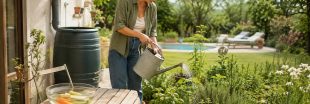Récupérer l'eau de cuisson, de pluie ou de piscine : le guide de l'arrosage malin et gratuit