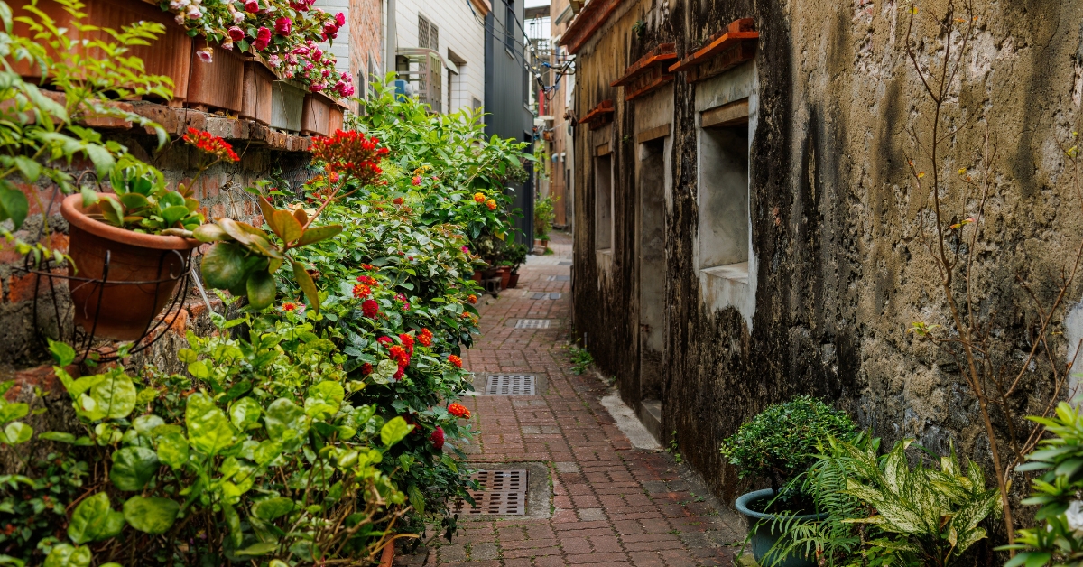 Dans ce village français, habitants et végétaux redonnent vie à une ruelle autrefois très minérale.