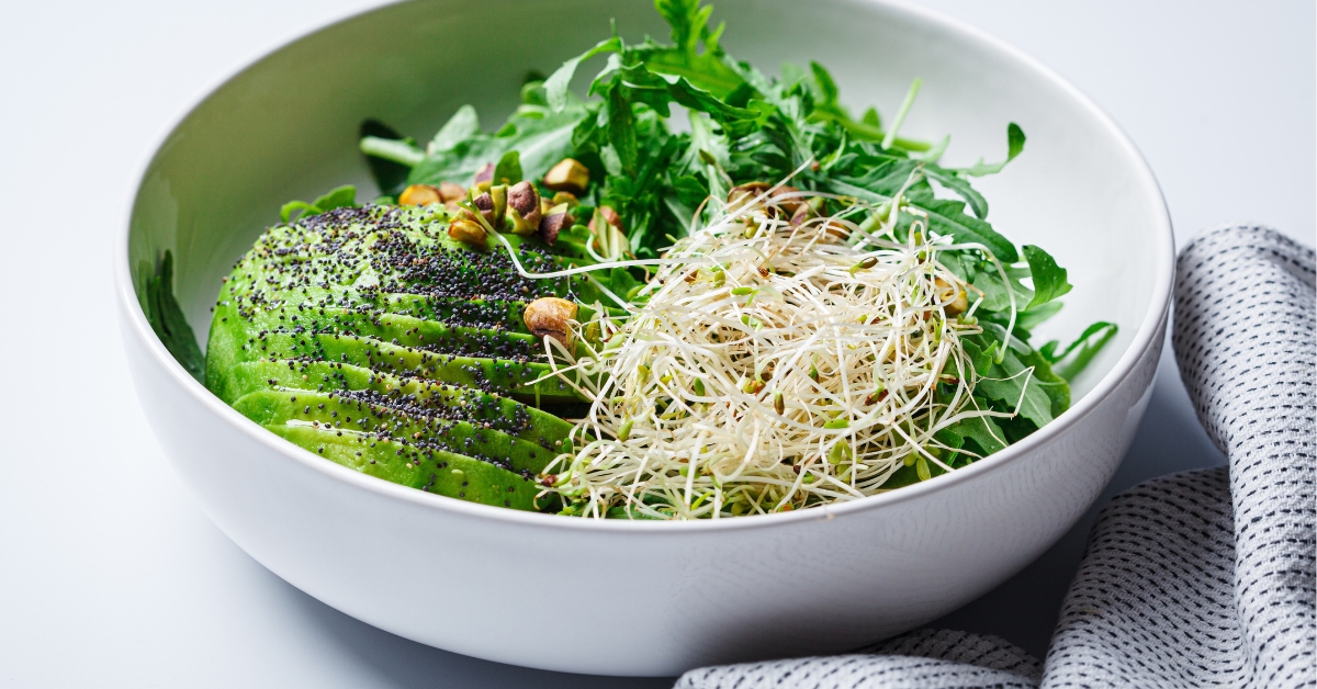 salade avocat graines germées