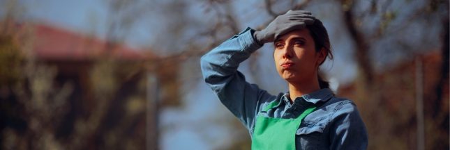 Comment régénérer un sol sec après la sécheresse ?