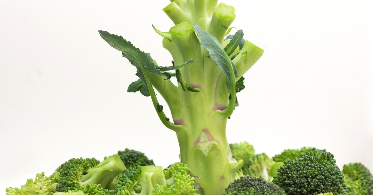 tige de brocoli
