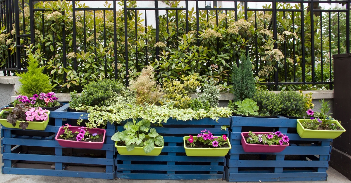 vegetaliser sa rue