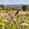 Biodiversité : le bilan désastreux 2026 que la France ne veut pas voir Biodiversité : le bilan désastreux 2026 que la France ne veut pas voir