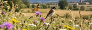 Biodiversité : le bilan désastreux 2026 que la France ne veut pas voir Biodiversité : le bilan désastreux 2026 que la France ne veut pas voir