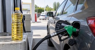 Carburants : ces alternatives dangereuses pour votre moteur Carburants : ces alternatives dangereuses pour votre moteur