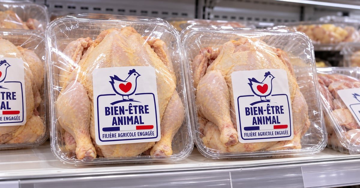 Nouveau logo « Bien-être animal » : ce qu’il dit vraiment sur les poulets Nouveau logo « Bien-être animal » : ce qu’il dit vraiment sur les poulets