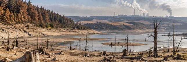 Lac asséché, sols craquelés, arbres morts et fumées industrielles illustrant une catastrophe écologique