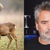 « Ils décapitent les cerfs devant chez moi » : la colère de Luc Besson « Ils décapitent les cerfs devant chez moi » : la colère de Luc Besson