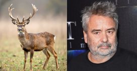 « Ils décapitent les cerfs devant chez moi » : la colère de Luc Besson
