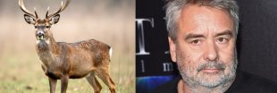 « Ils décapitent les cerfs devant chez moi » : la colère de Luc Besson « Ils décapitent les cerfs devant chez moi » : la colère de Luc Besson