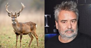 « Ils décapitent les cerfs devant chez moi » : la colère de Luc Besson