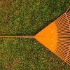 Canicule : comment restaurer et revitaliser votre pelouse ? Canicule : comment restaurer et revitaliser votre pelouse ?