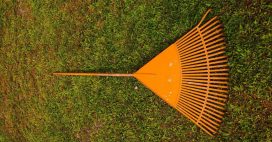 Canicule : comment restaurer et revitaliser votre pelouse ? Canicule : comment restaurer et revitaliser votre pelouse ?