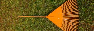 Canicule : comment restaurer et revitaliser votre pelouse ? Canicule : comment restaurer et revitaliser votre pelouse ?