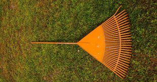 Canicule : comment restaurer et revitaliser votre pelouse ?