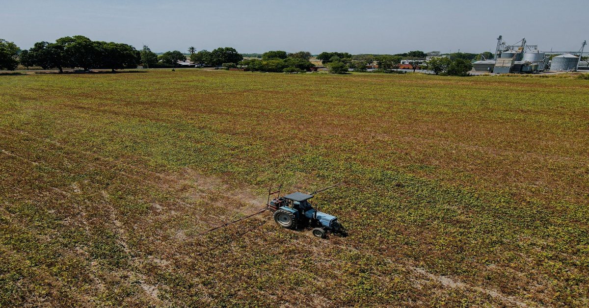 Pesticides : 1.044 demandes d’indemnisation en 2025, le vrai coût de l’agriculture chimique Pesticides : 1.044 demandes d’indemnisation en 2025, le vrai coût de l’agriculture chimique
