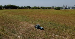 Pesticides : 1.044 demandes d'indemnisation en 2025, le vrai coût de l'agriculture chimique