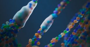 Génome humain : comment Google supprime les barrières scientifiques mondiales