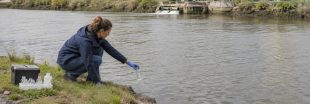 PFAS dans l'eau du robinet : place au principe du pollueur-payeur PFAS dans l'eau du robinet : place au principe du pollueur-payeur