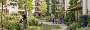 Végétalisation : comment transformer sa copropriété en îlot de fraîcheur Végétalisation : comment transformer sa copropriété en îlot de fraîcheur