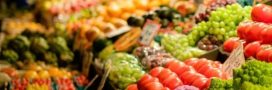 Santé durable et éco-responsable : comment concilier bien-être et budget