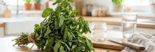 Votre menthe flétrit ? Ne la jetez surtout pas : 7 astuces géniales