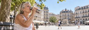 Climat et santé : les risques s'aggravent en France