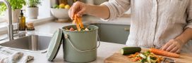 Composteur de cuisine sans odeur : 7 astuces pour bien débuter