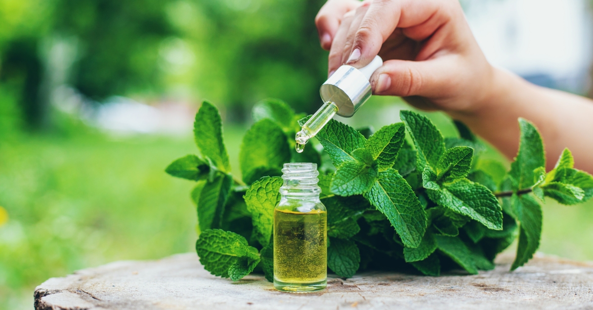 huile essentielle menthe poivrée