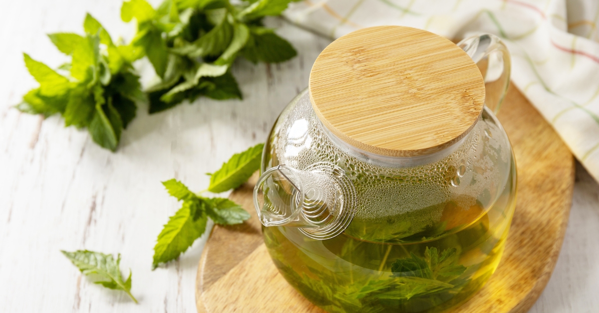 infusion menthe poivrée
