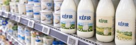 Kéfir au supermarché : ces bouteilles se ressemblent, mais leur contenu peut être très différent Kéfir au supermarché : ces bouteilles se ressemblent, mais leur contenu peut être très différent