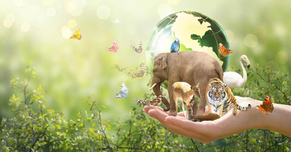 La biodiversité s'effondre encore et toujours, confirme le WWF
