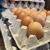 PFAS : 57% des oeufs testés sont contaminés en France PFAS : 57% des oeufs testés sont contaminés en France