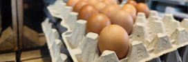 PFAS : 57% des oeufs testés sont contaminés en France PFAS : 57% des oeufs testés sont contaminés en France