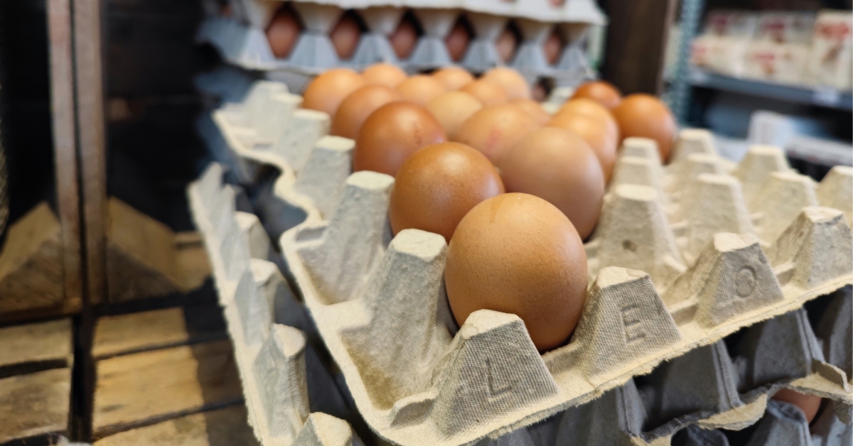 PFAS : 57% des oeufs testés sont contaminés en France